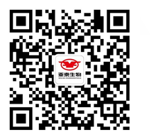 smy_fly